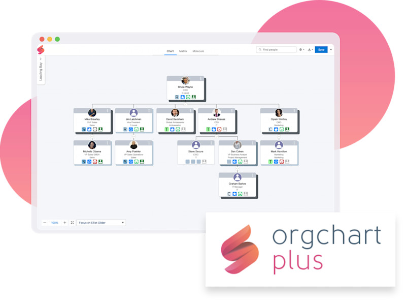 Org Chart Plus org chart