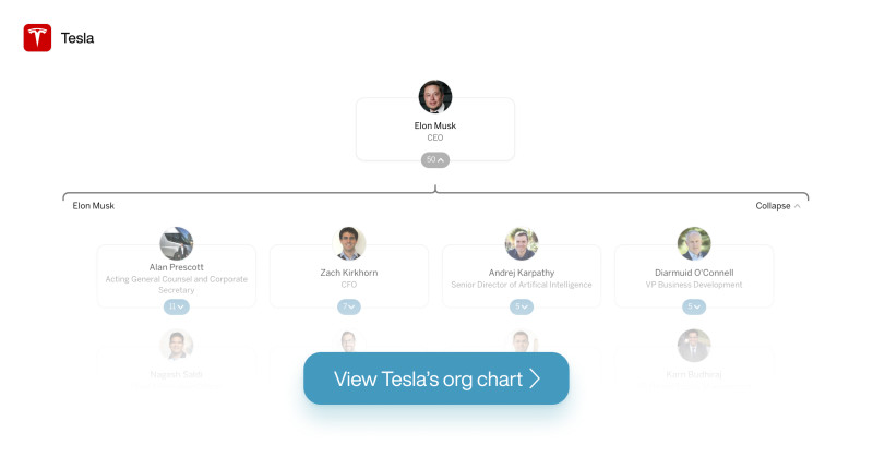 Tesla Org Chart
