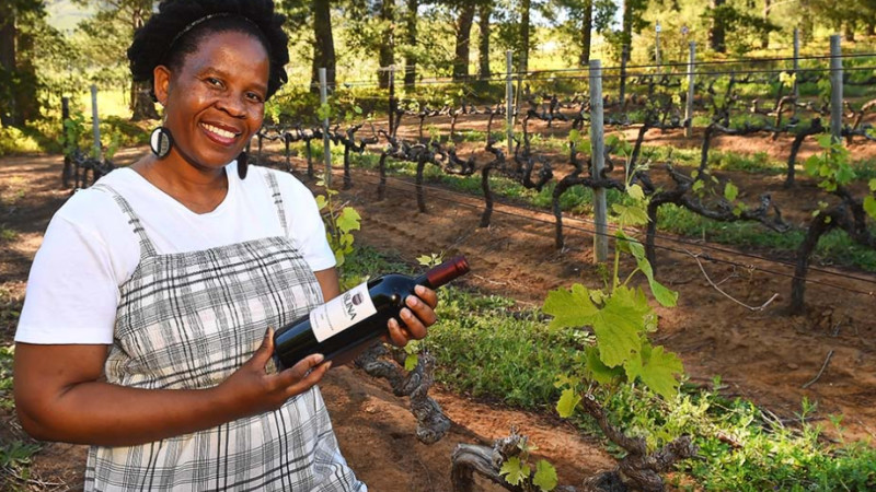 Ntsiki Biyela of Aslina Wines Courtesy of Aslina Wines