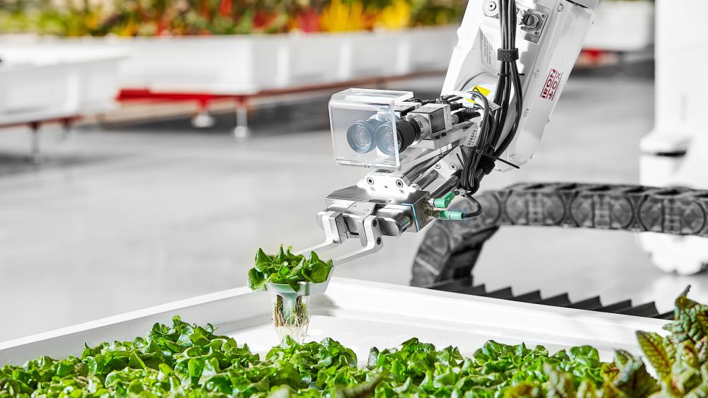 One of Iron Ox's robot arms goes to work as part of its autonomous indoor farm. Courtesy of Iron Ox.  