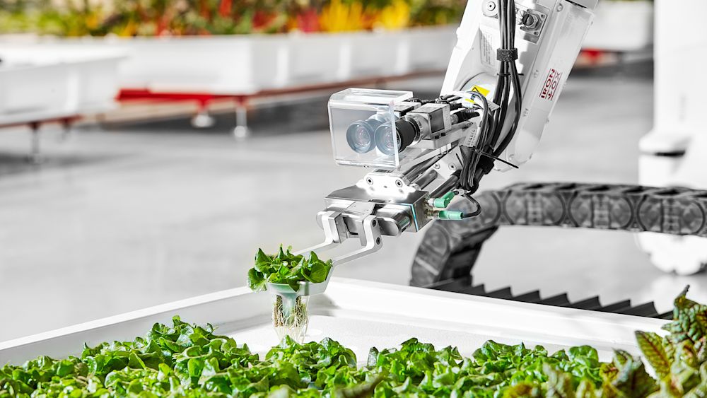 One of Iron Ox's robot arms goes to work as part of its autonomous indoor farm. Courtesy of Iron Ox.