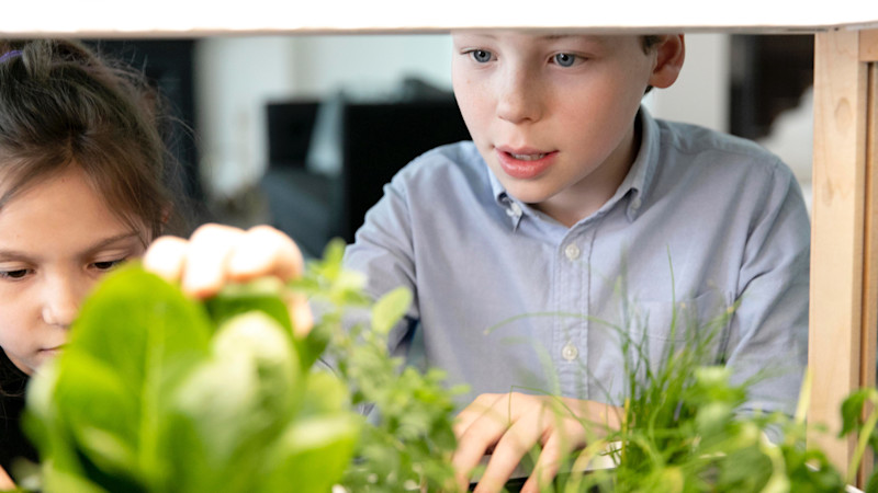Kids looking at a Rise Gardens garden