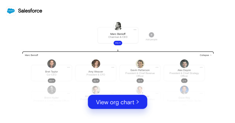 salesforce org chart 1/18/2021