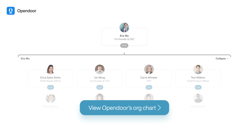 Opendoor org chart