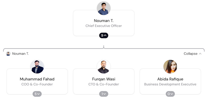 Cyber Nest Org Chart