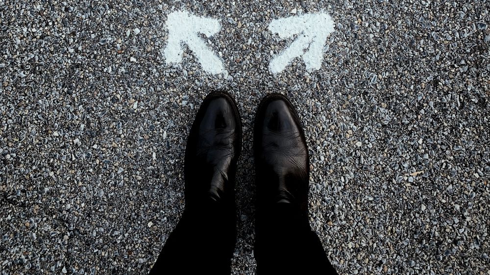 From founder to CEO - evolving your role while scaling up. Image courtesy of Jon Tyson via Unsplash.