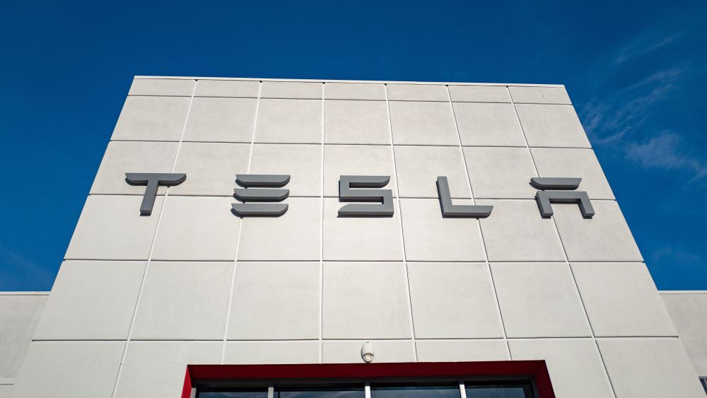How Many Companies Does Tesla Own? | The Org