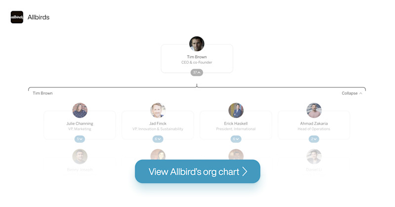 Allbirds unicorn 2025