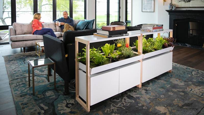 Rise Gardens' Single Family Garden in a living room