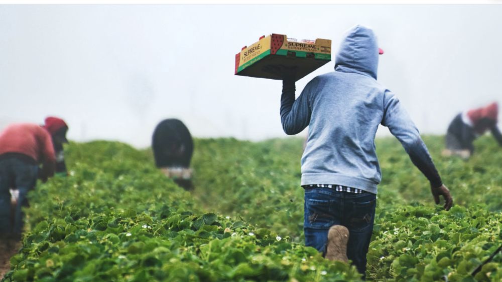 Complete Farmer is working on a scalable agritech solution for farmers in Ghana and Togo. Image courtesy of Complete Farmer.