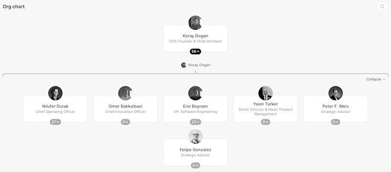 Solvoyo Org Chart