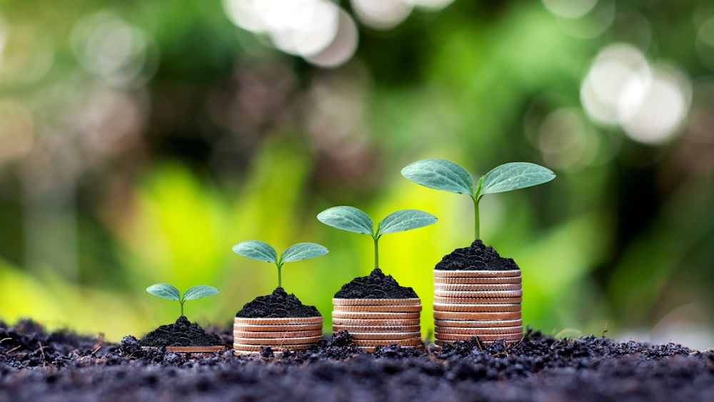 Illustration of growing and increasing finances. Courtesy of Mee Ko Dong, Shutterstock.