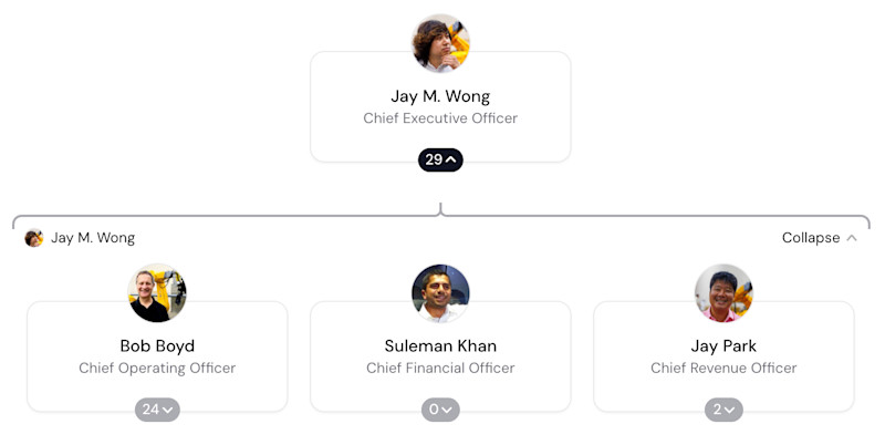 Luminous Robotics Org Chart