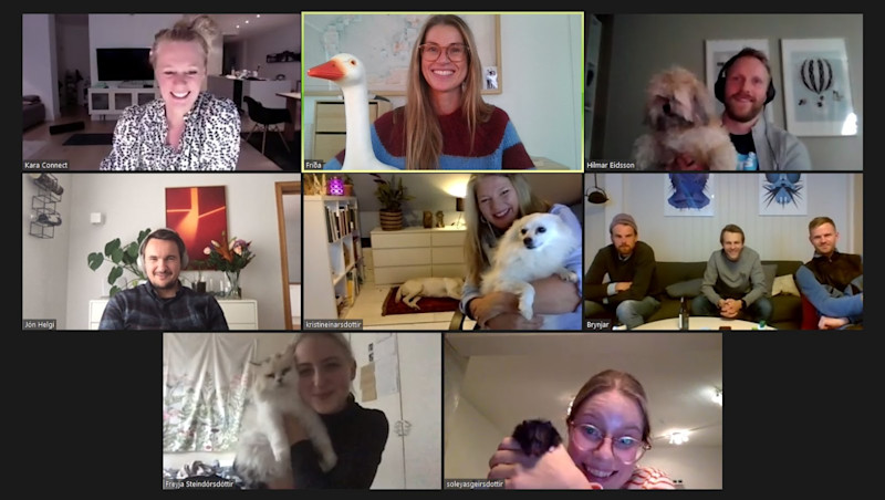 Kara - 5 years - Animals