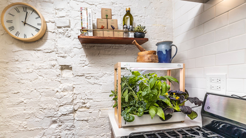 Rise Gardens' personal indoor garden