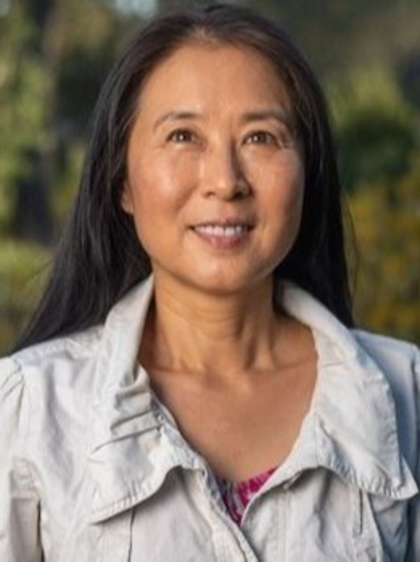 Hong Jiang, Aegis