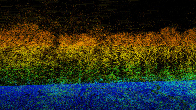 Pachama 3D modeling of forests using Lidar from drones & airplanes