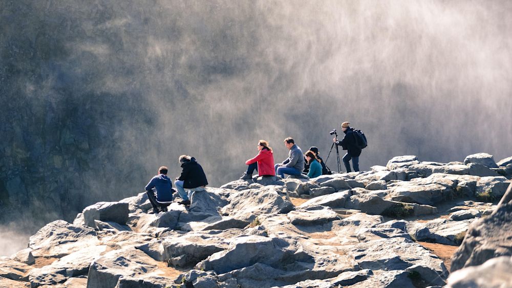 Aligning your executive team in a full-day workshop. Photo by Koushik Chowdavarapu on Unsplash.