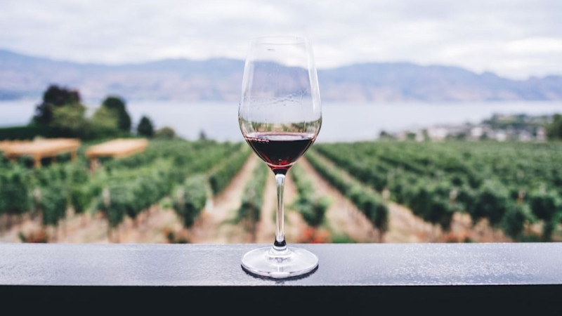 Wine