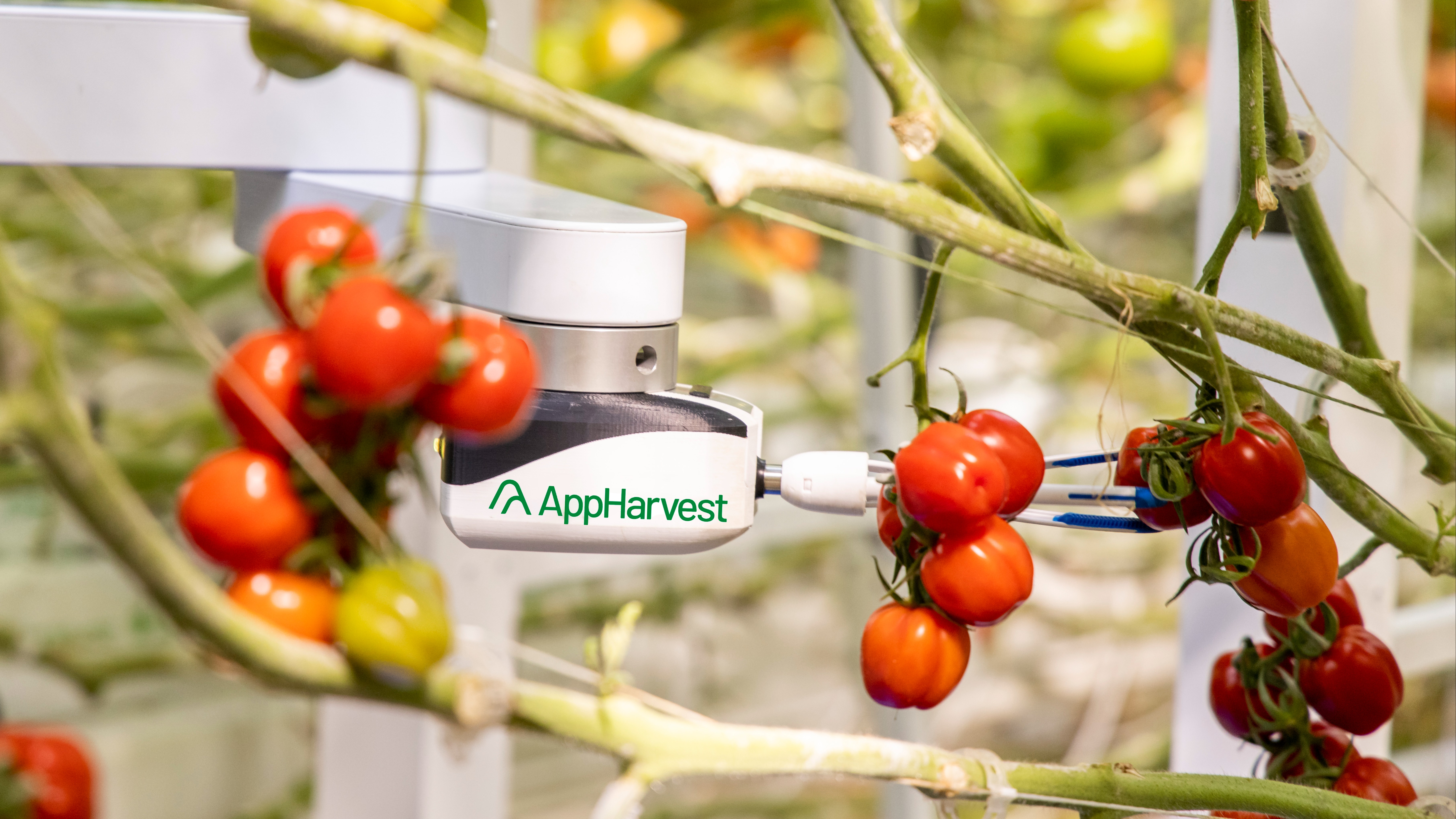 Mark Keller Joins AppHarvest. Image courtesy of AppHarvest.