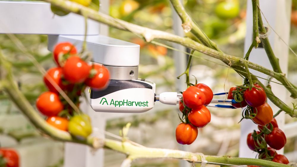 Mark Keller Joins AppHarvest. Image courtesy of AppHarvest.
