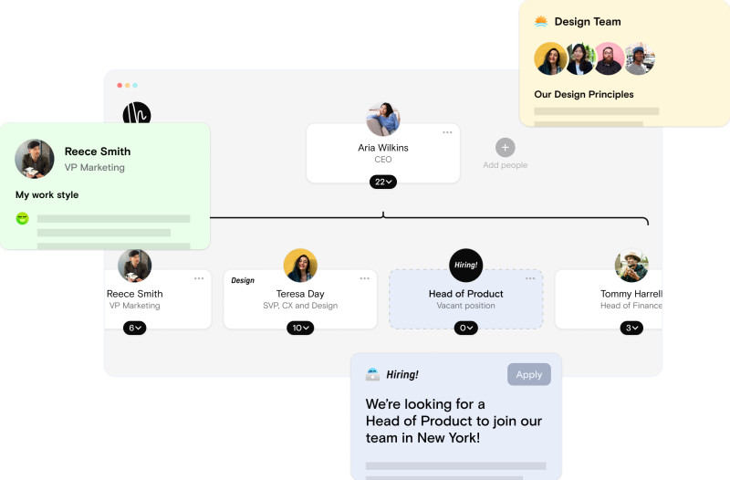 org chart highlights 