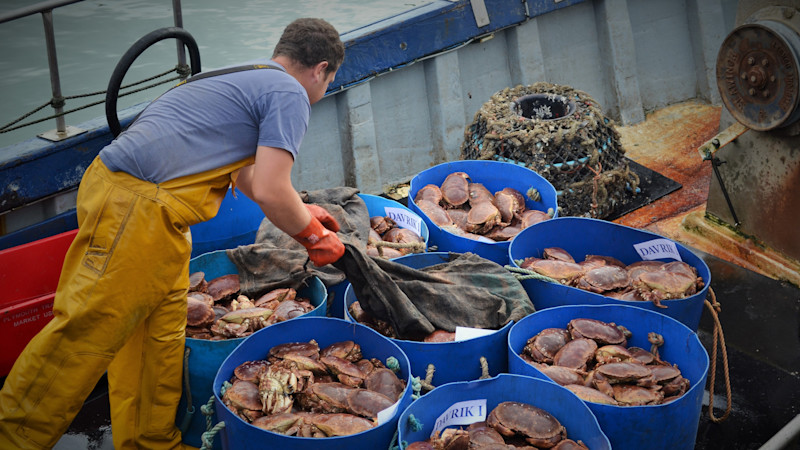 Fisherman Catch