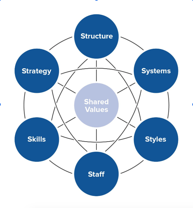 Is there a specific organizational design model I can use for my