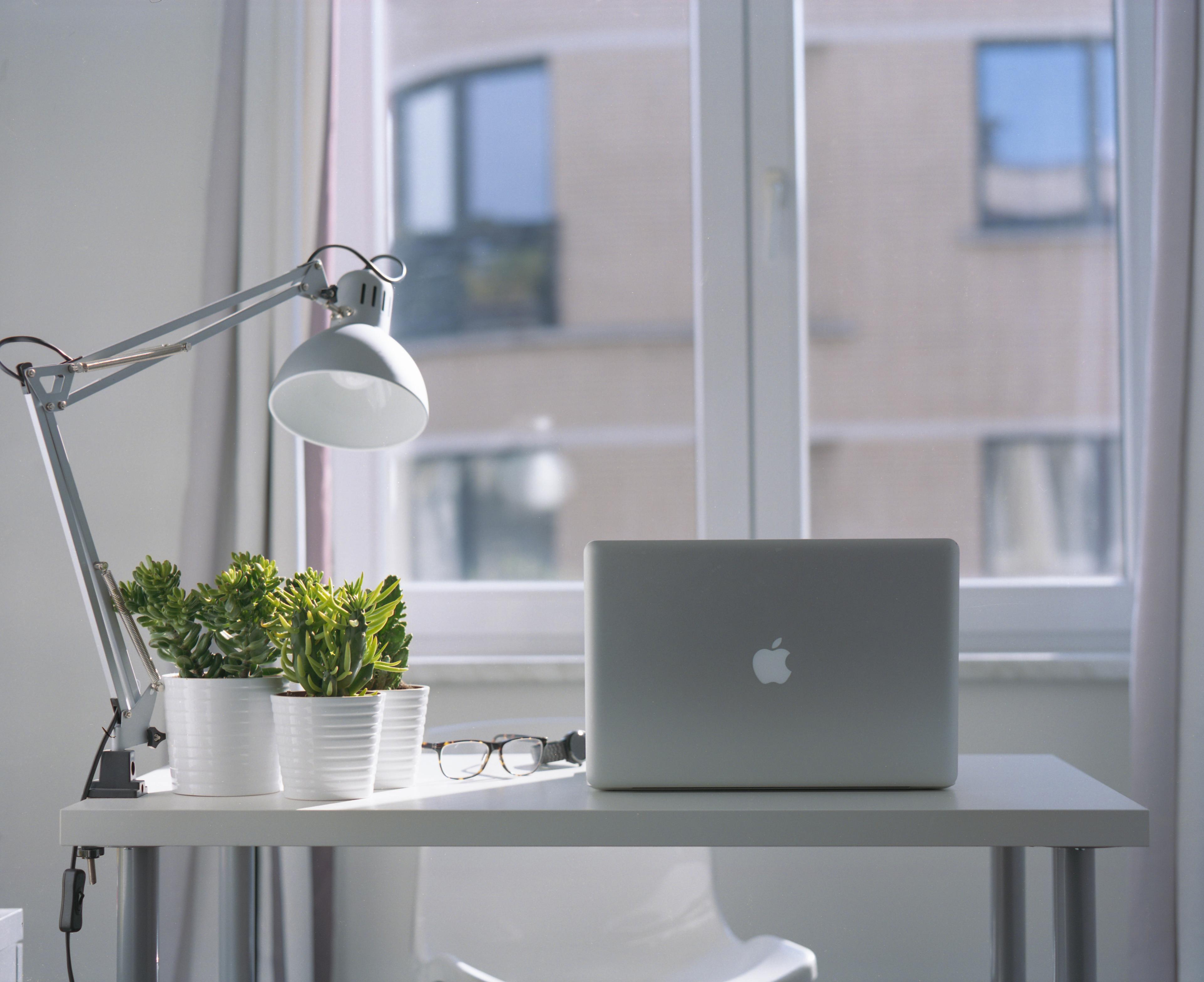 A desk with a laptop, lamp, and three small plants on it