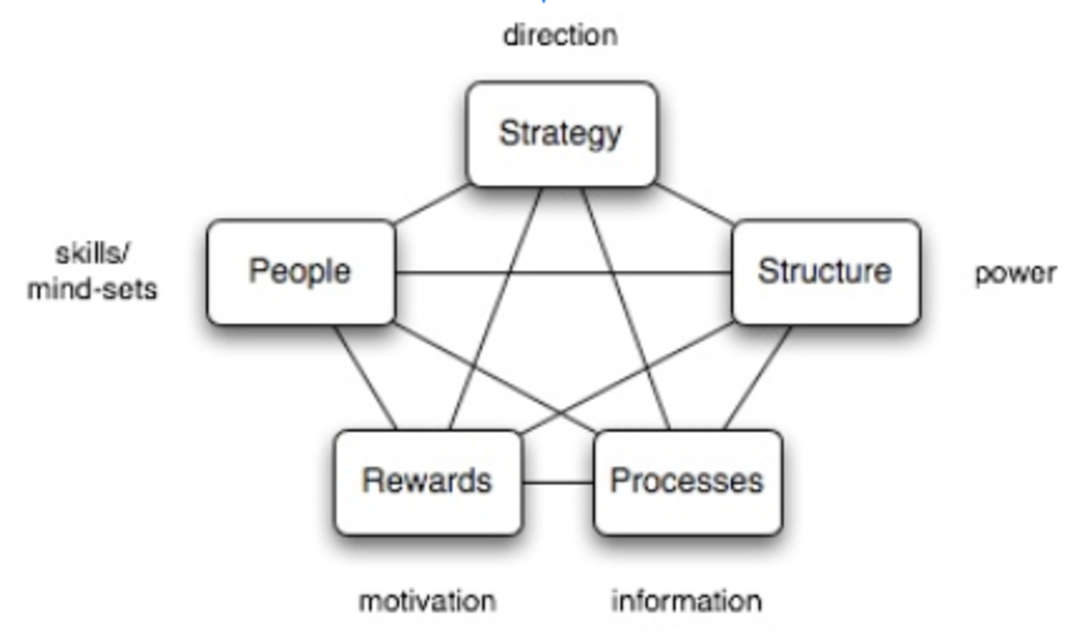 Organizational Design 101: What to Know Before Attempting Your Own ...