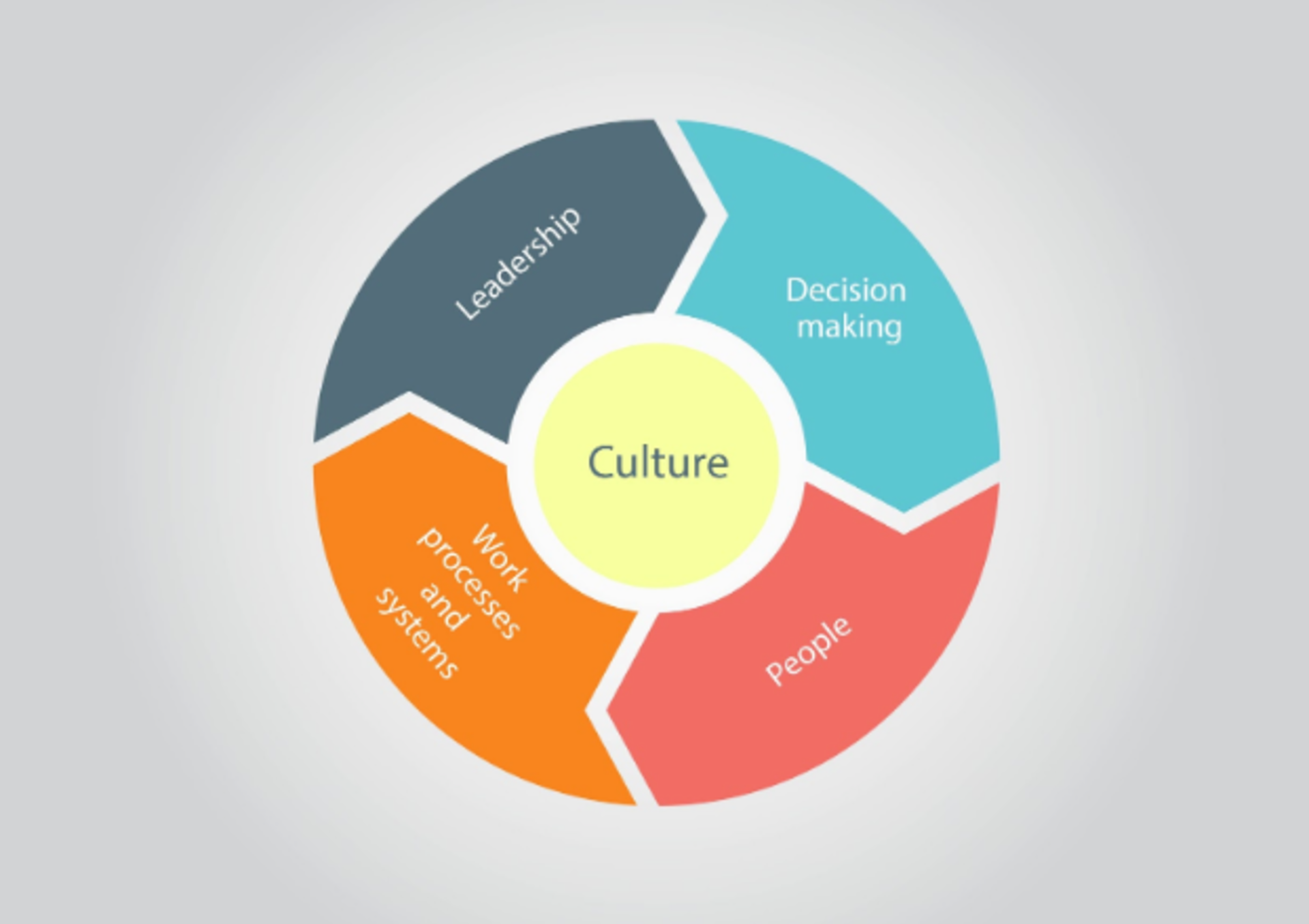 Organizational Design 101: What to Know Before Attempting Your Own ...