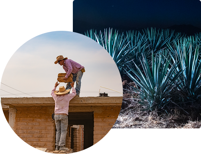 A field of agave at night and in front, 2 people passing bricks at a house.