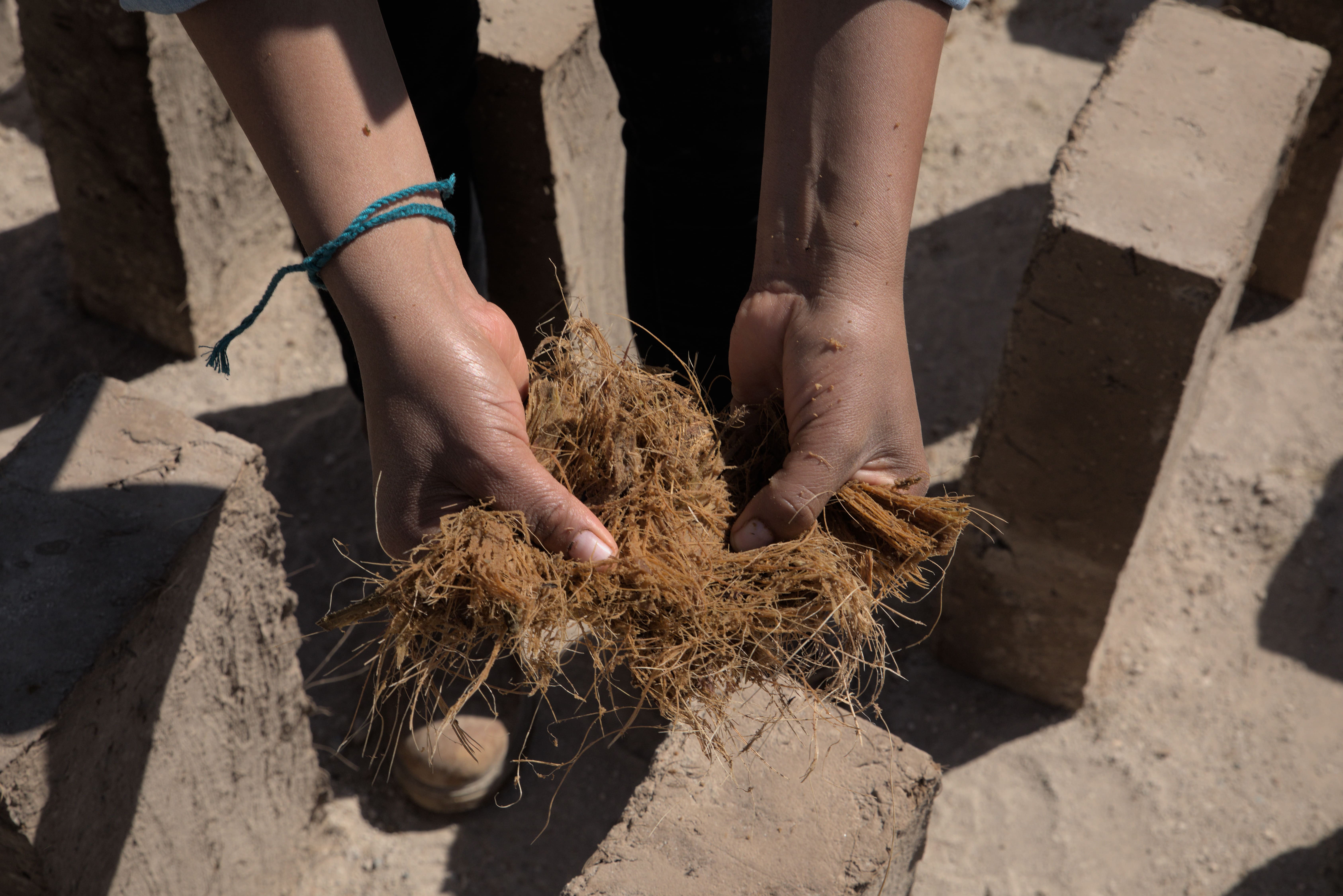 Adobe brick agave fibres