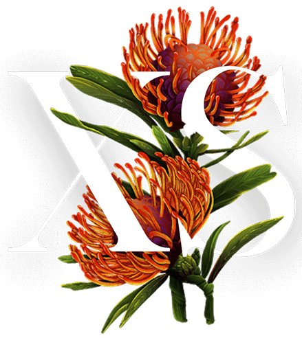 Flor de la habitación XS