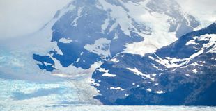 pexels-wendy-calandrelli-2147744618-29740088