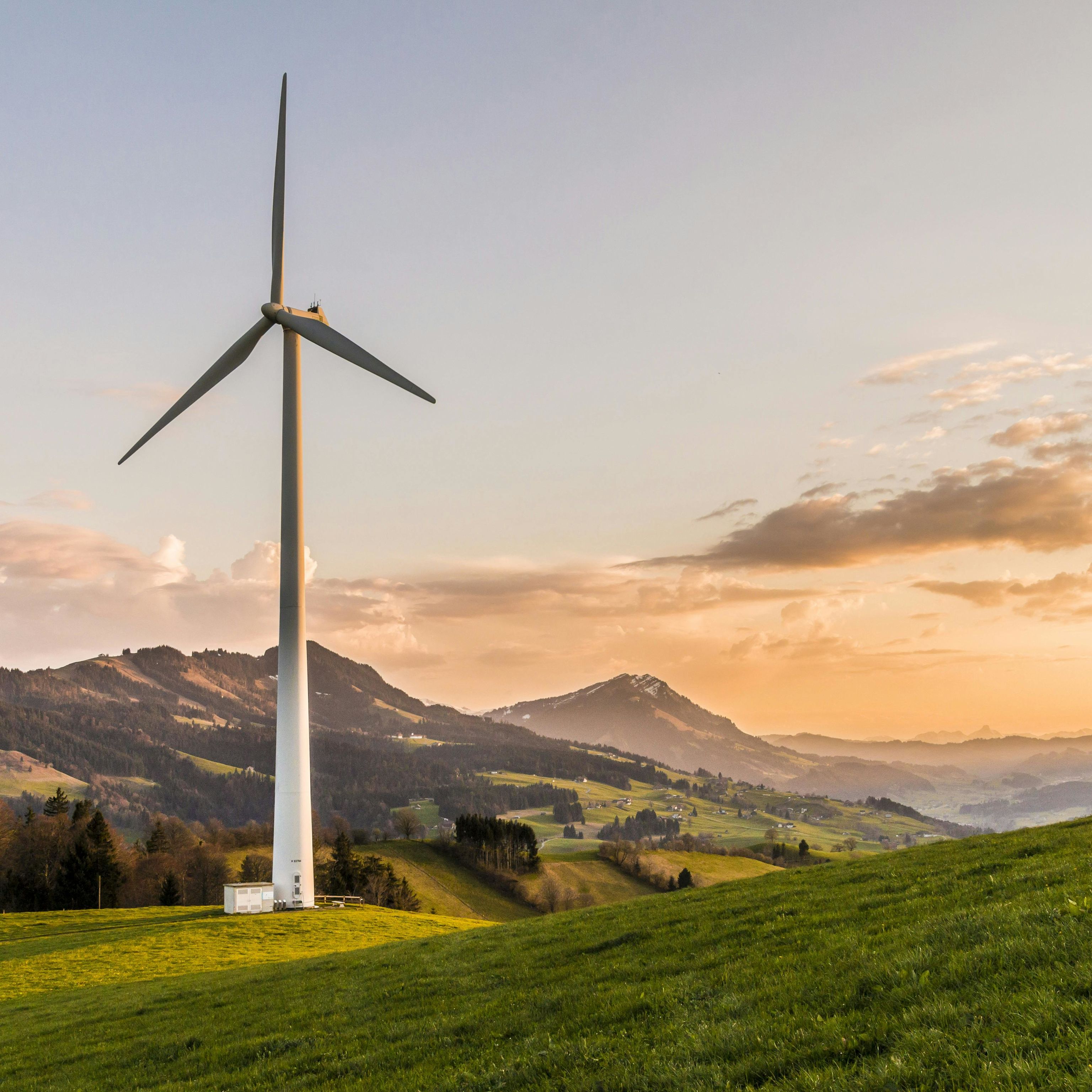 The Power of Public Policy: Catalyzing Private Investment in the Green Energy Transition