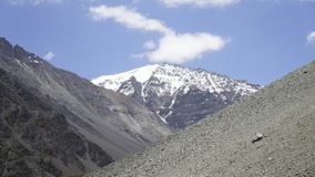 Newmont Mining and Conga Project 7