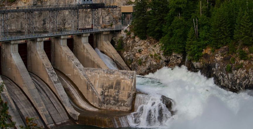 Desa’s Agua Zarca Hydroelectric Dam and The Murder of Berta Caceres 9