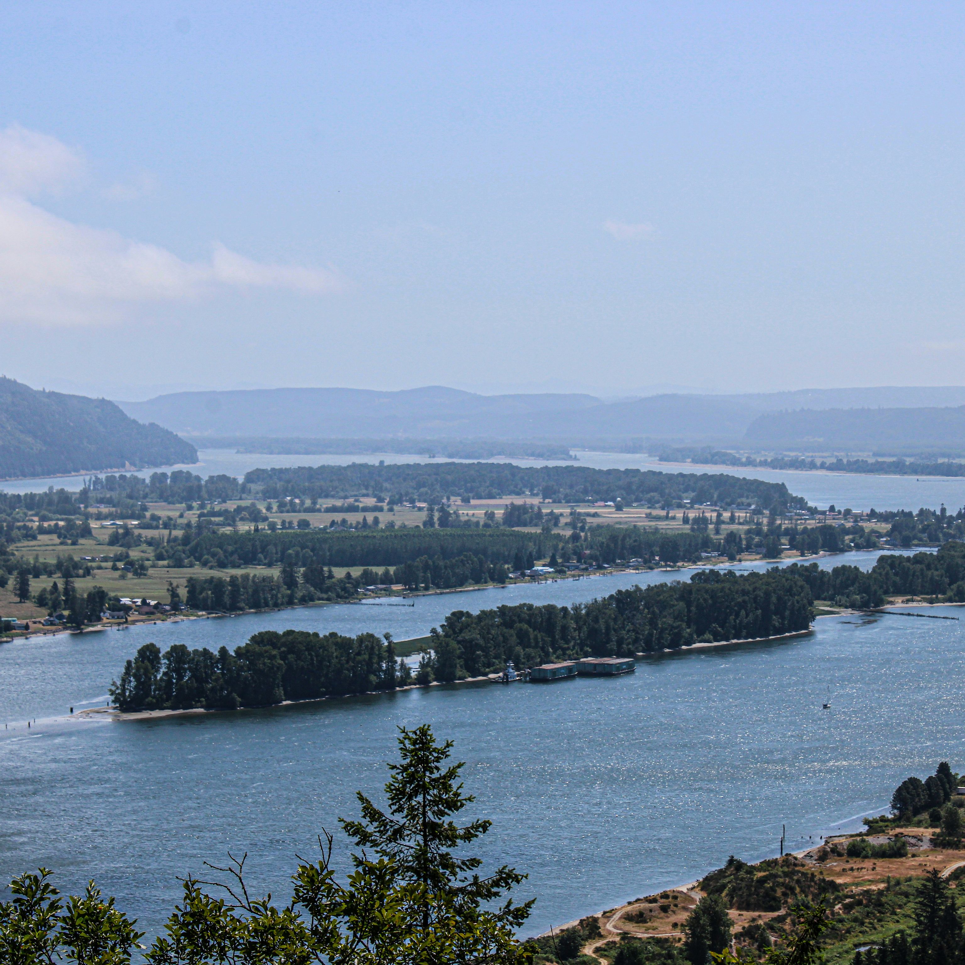 peter-robbins-1YnXBVZadWE-unsplash