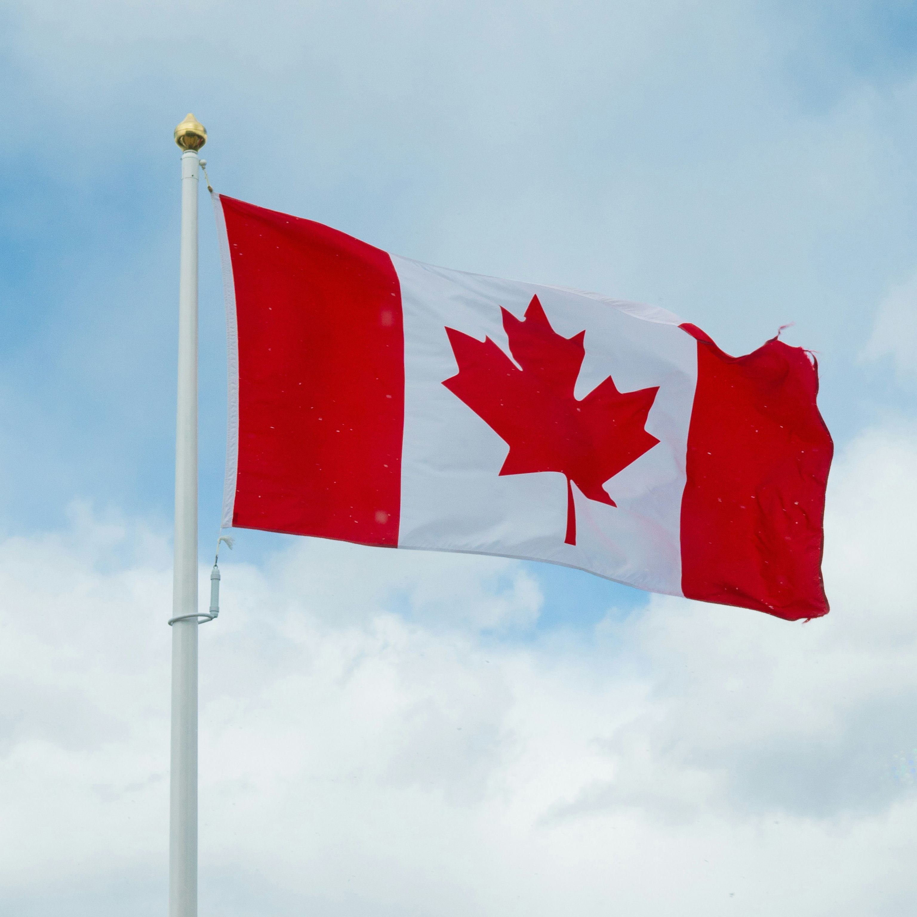 Natural Resources 10