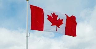 Natural Resources 10