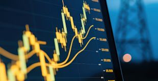 Trends Report 2025/26