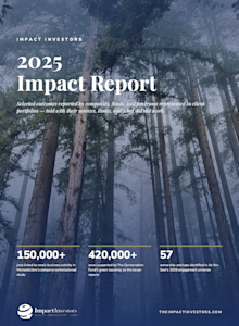 Impact Investors Report