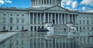 pexels-blue-14955975