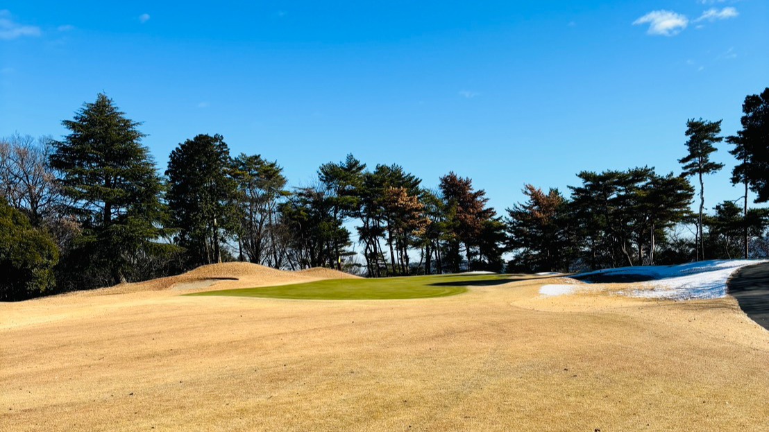 Cover Image for 【1月4日】営業再開！