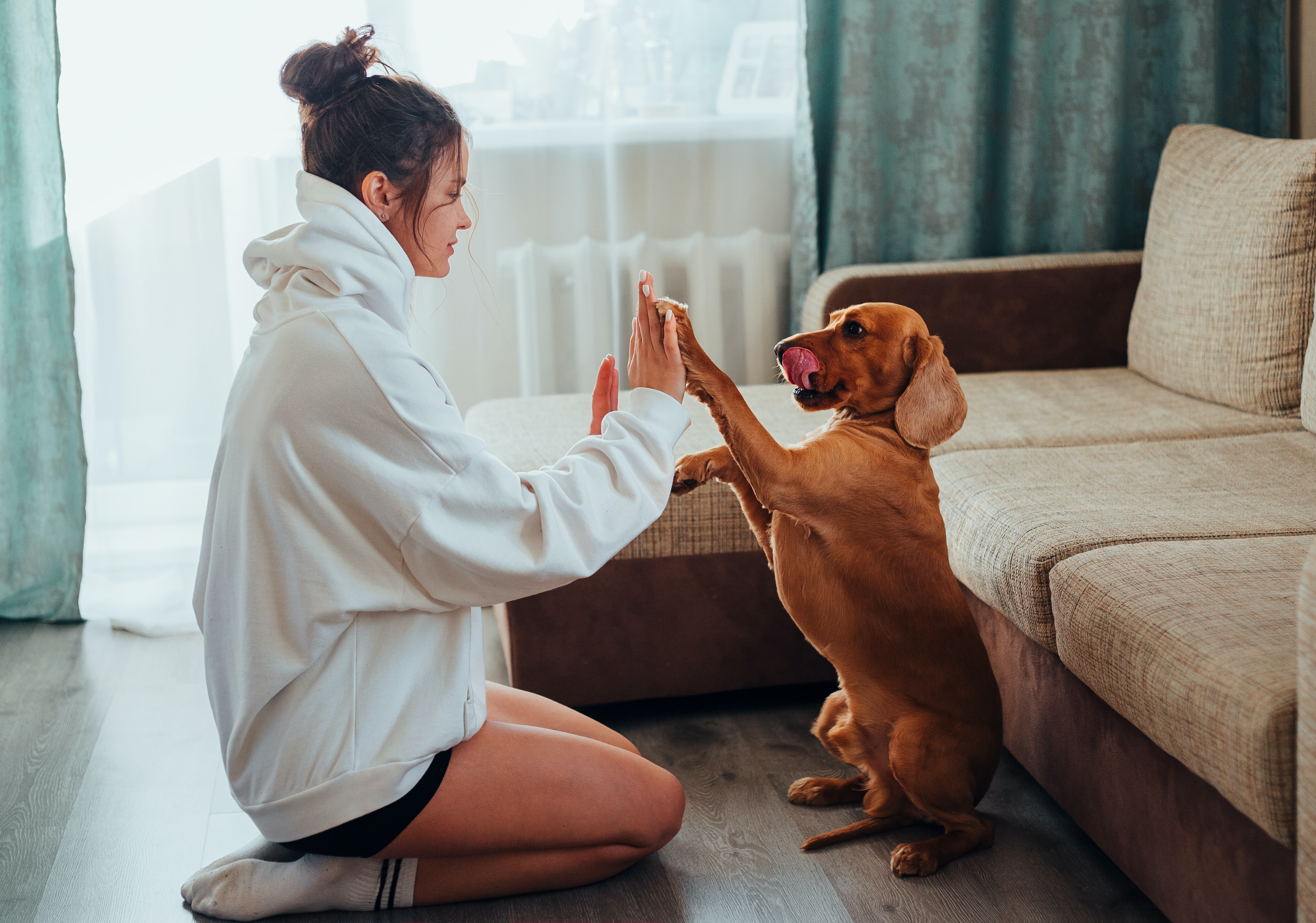 How to Market Your Pet-Friendly Vacation Rental