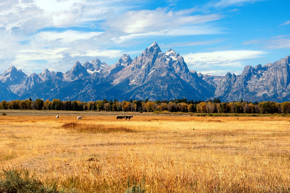 Buying an Airbnb Vacation Rental in Jackson Hole
