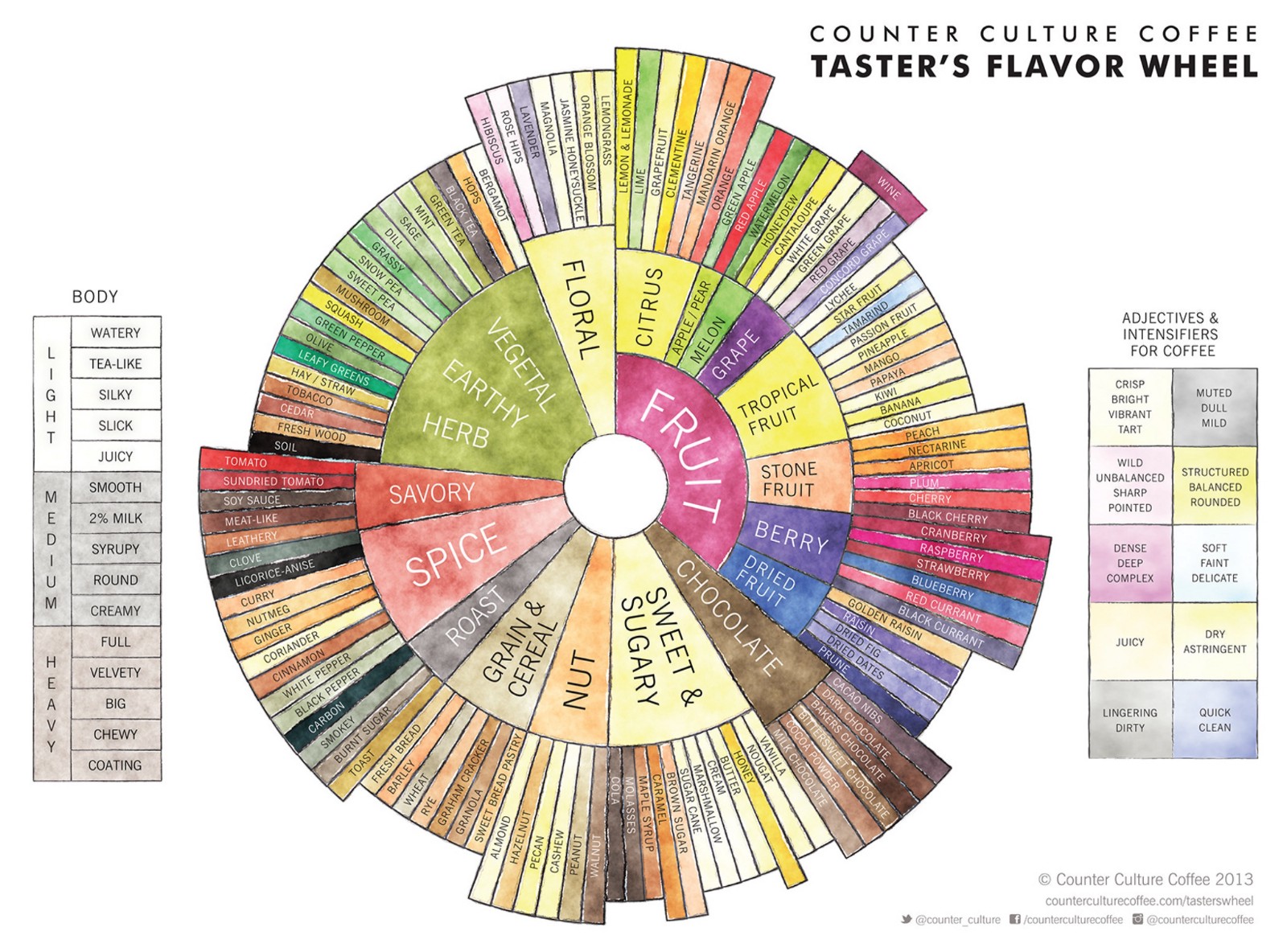 Coffee shop Taster's flavor wheel