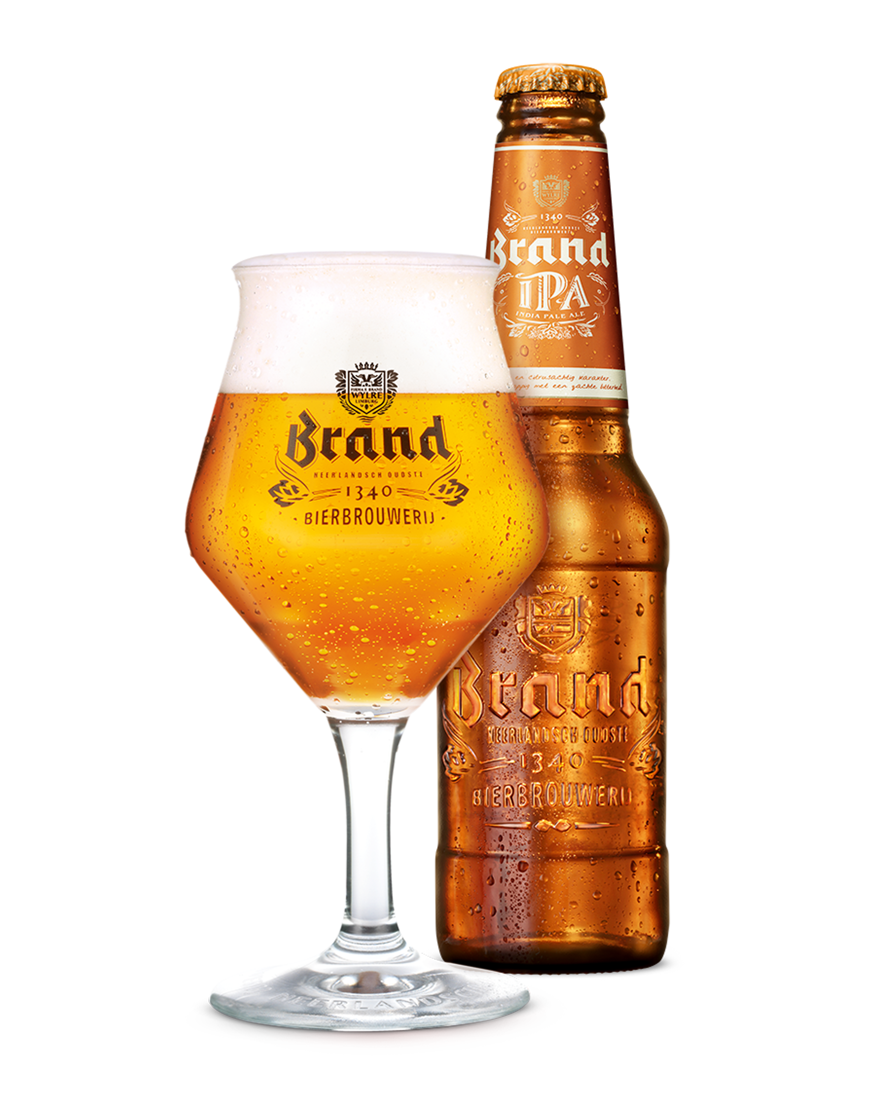 Brand IPA (new)