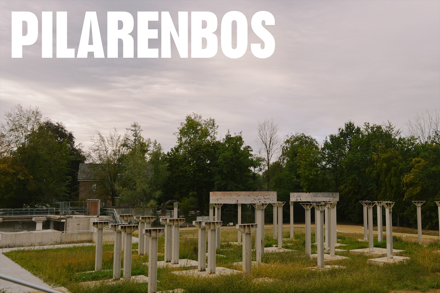 Pilarenbos